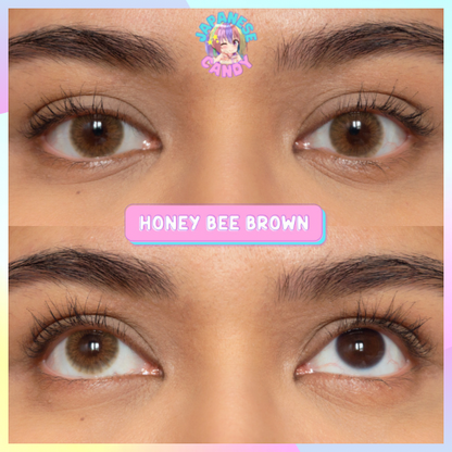 Honey Bee Brown