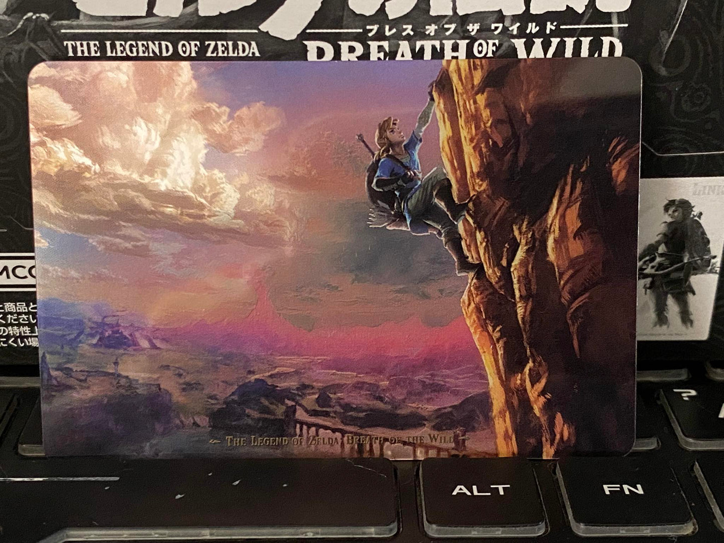 The Legend of Zelda Breath of the Wild Card