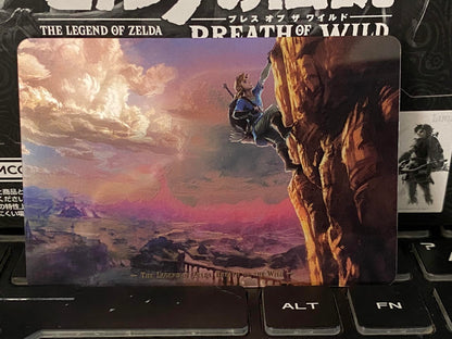 The Legend of Zelda Breath of the Wild Card