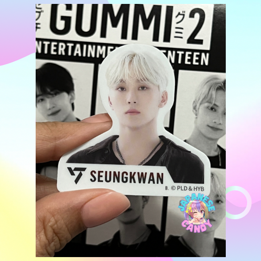 SVT GUMMI2 From PLEDIS ENTERTAINMENT SEVENTEEN (sold per sticker)