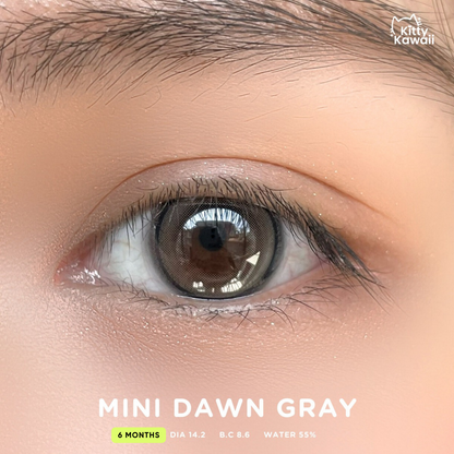 MINI DAWN Gray