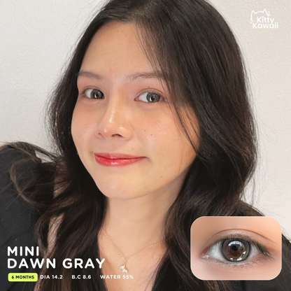 MINI DAWN Gray