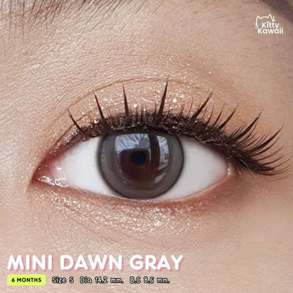 MINI DAWN Gray