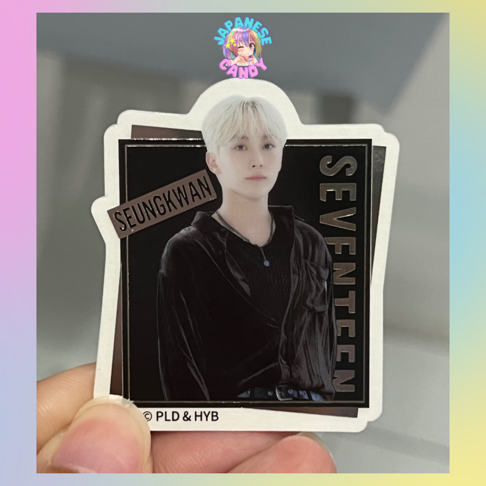 SVT GUMMI2 From PLEDIS ENTERTAINMENT SEVENTEEN (sold per sticker)