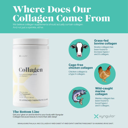 Xyngular Collagen (336g good for 30 servings)