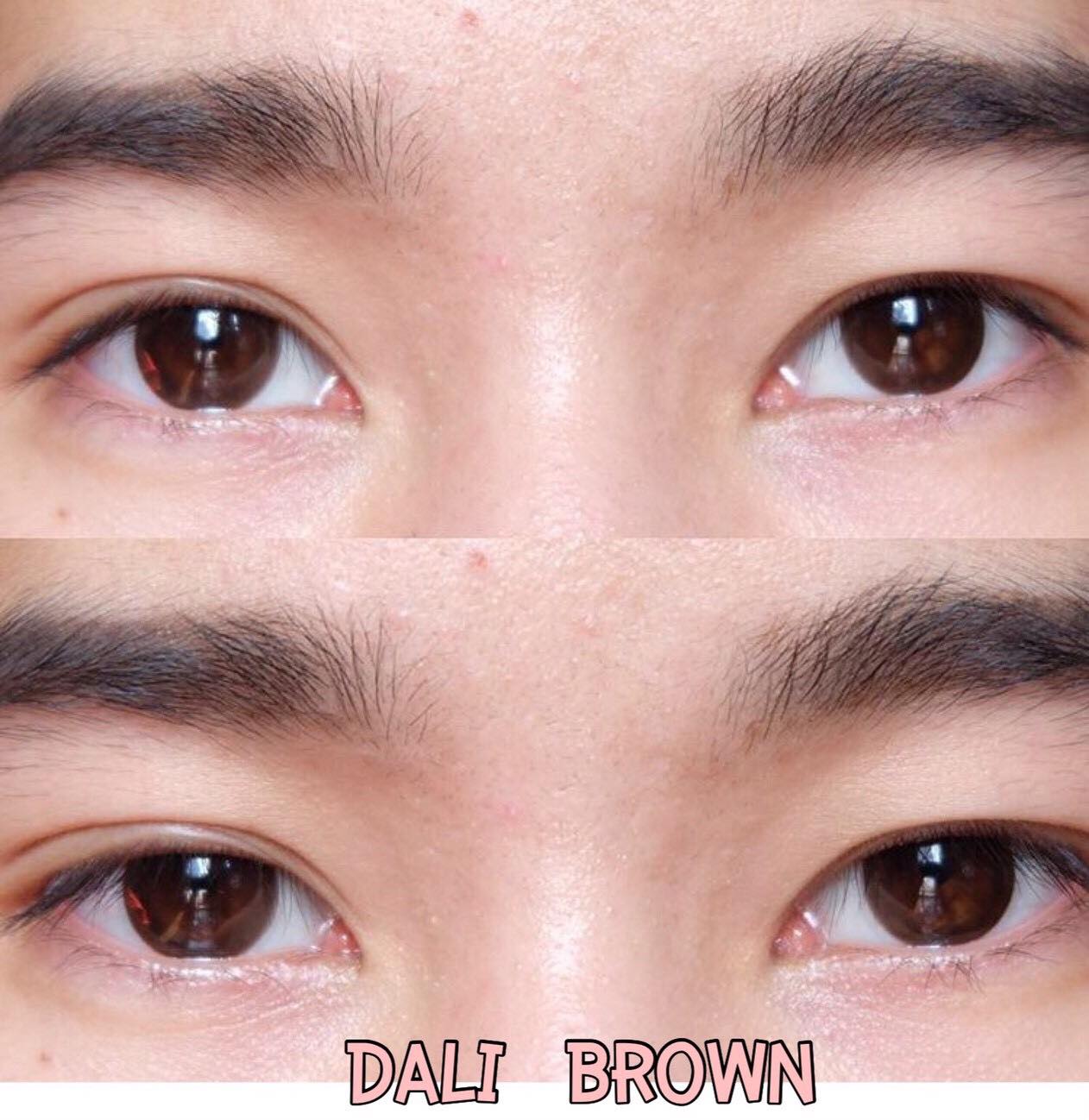 DALI Brown