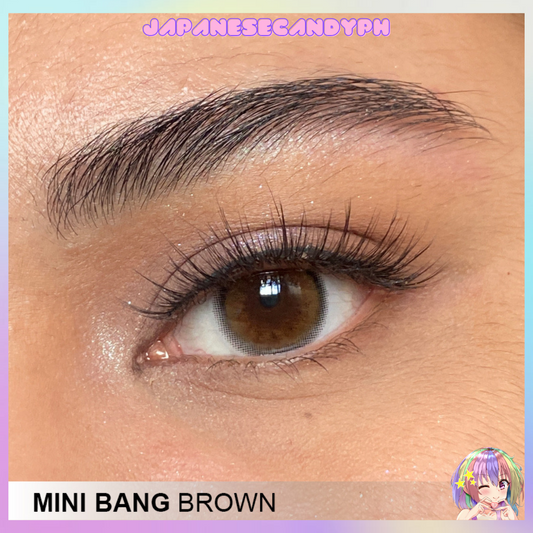 Mini Bang Brown