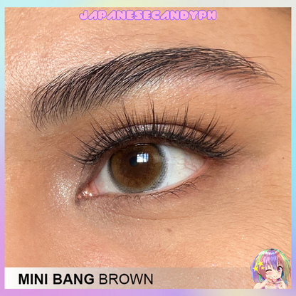 Mini Bang Brown