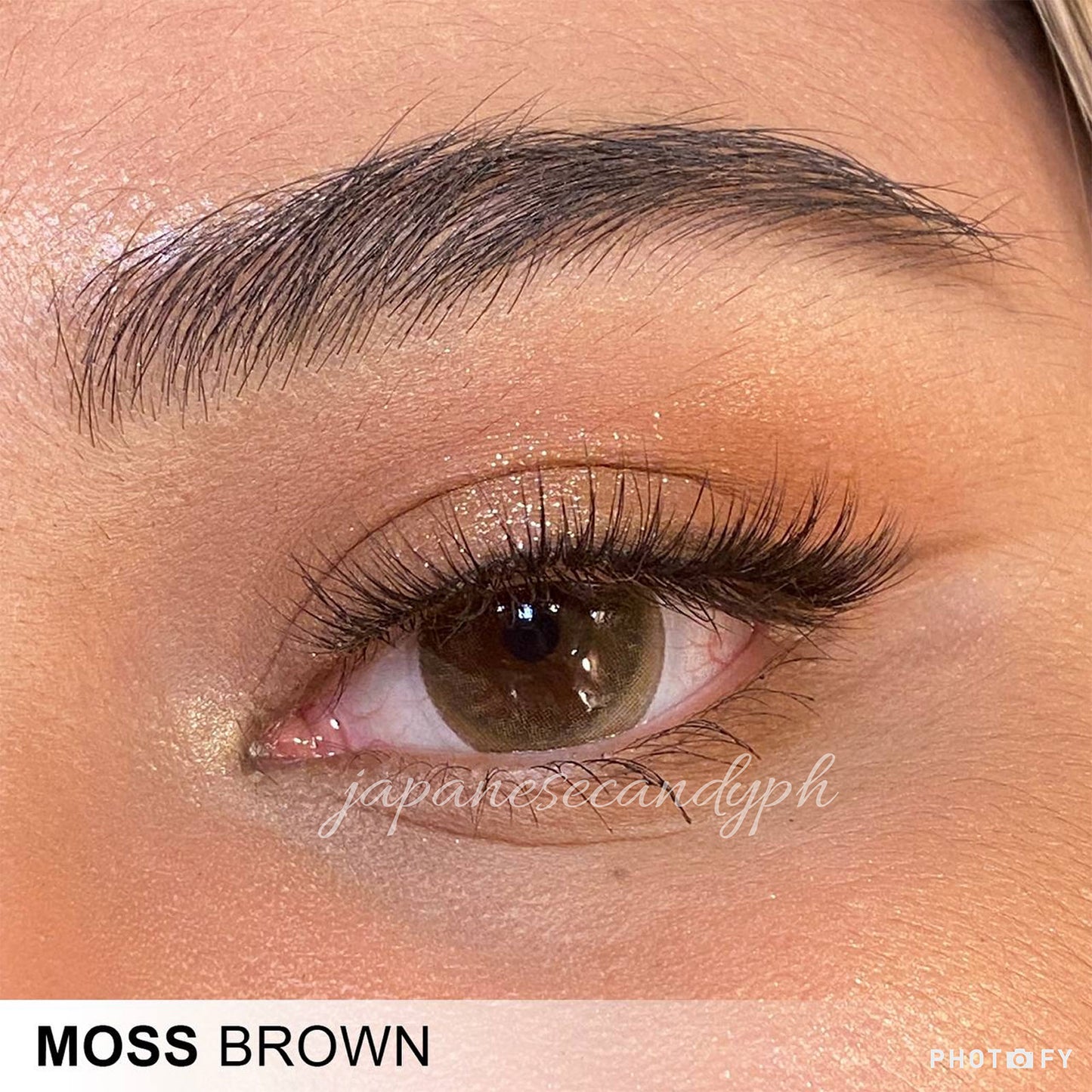 Moss Brown