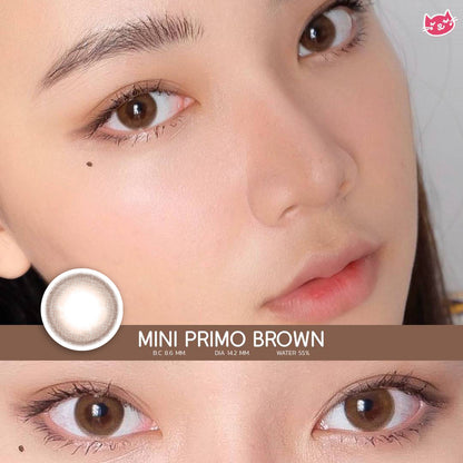 Mini Primo Brown