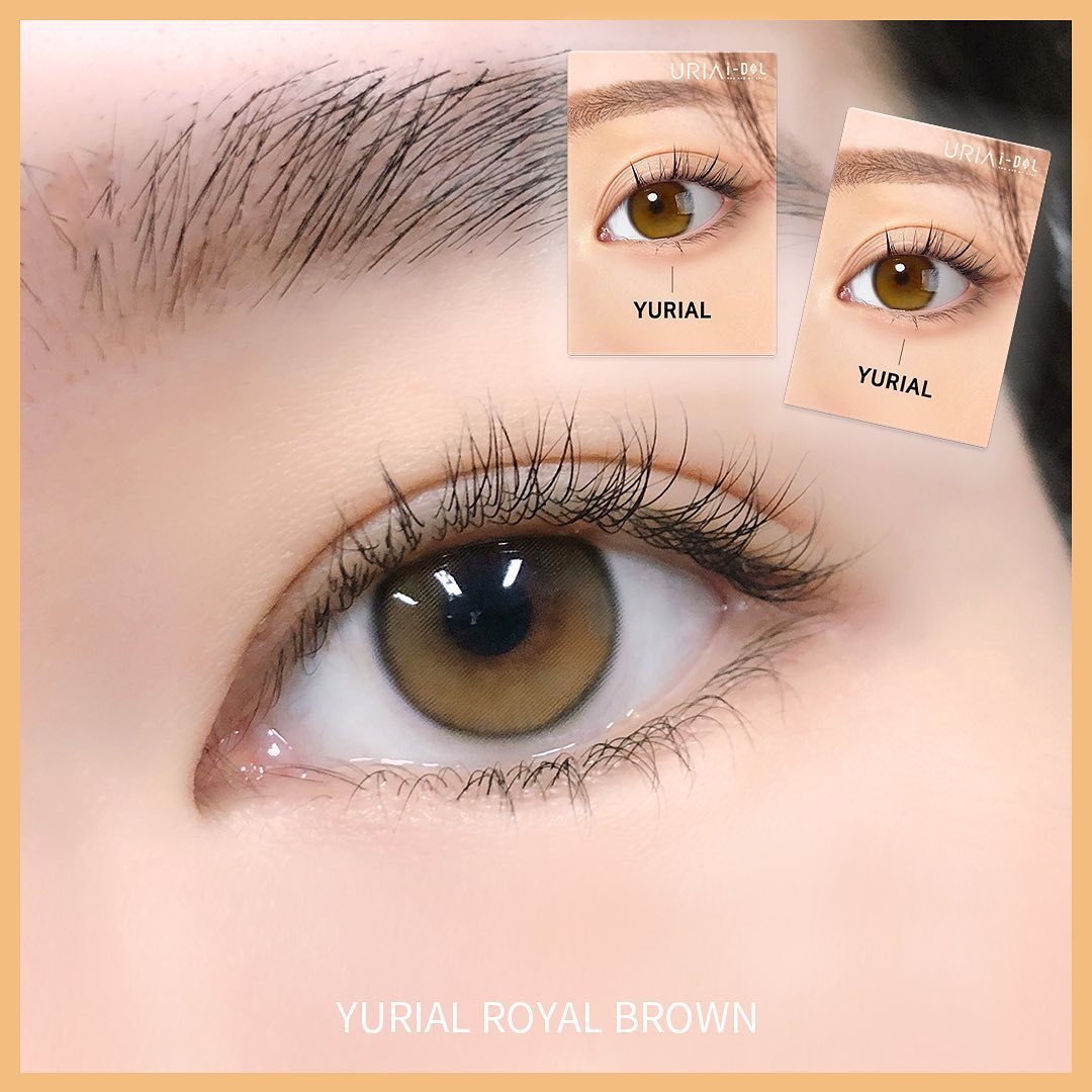 1 Year YURIAL Royal Brown