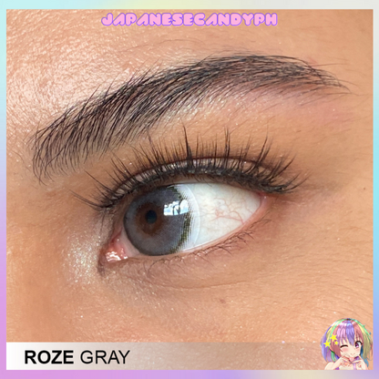 ROZE Gray