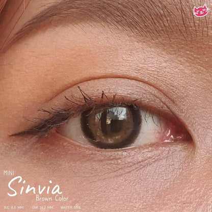 Mini Sinvia Brown